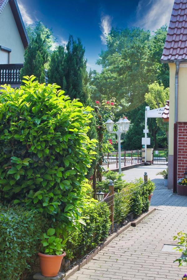 Pension Luisenhof Tangermunde Bagian luar foto